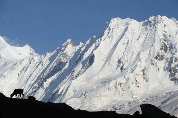 Rakaposhi-Base-Camp-Trek1